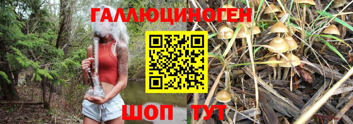 Псилоцибиновые грибы мицелий Надым