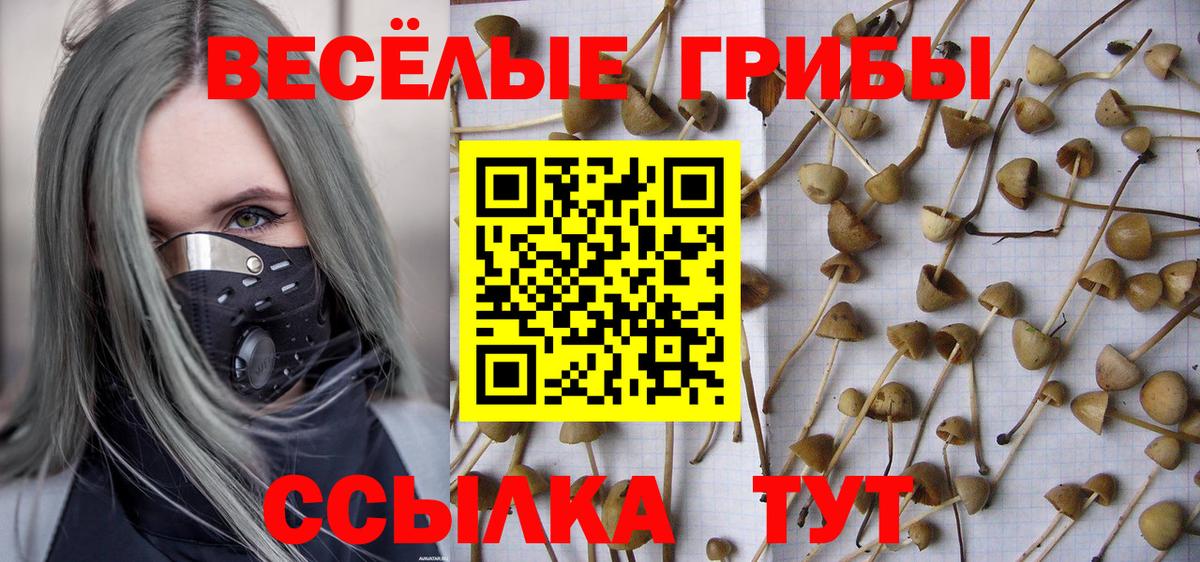 Псилоцибиновые грибы Psilocybe  Вход с VPN  Надым 